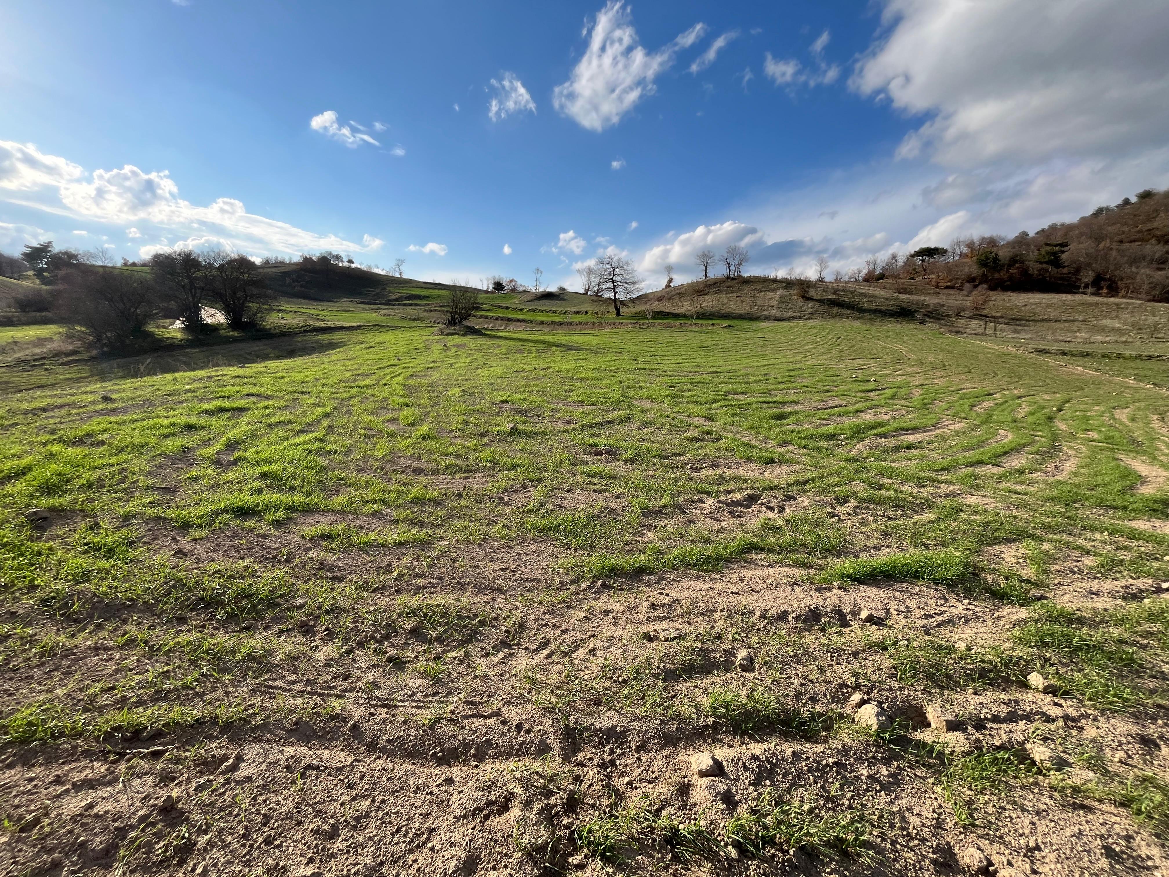 VELTIS GAYRİMENKUL - BALIKESİR SINDIRGI KINIK' TA 8.882 M2 TARLA